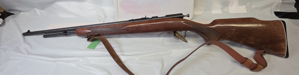 COOEY 600 SINGLE SHOT .22